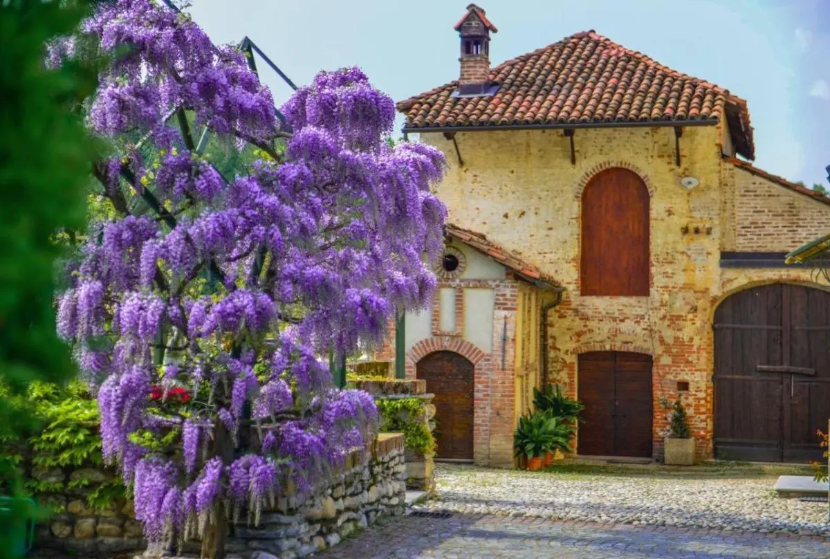 z_20221226_070908972_773077